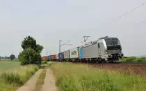 Am 19.Juni 2013 war 193 804 mit einem Containerzug bei Burgstemmen auf dem Weg Richtung Norden.