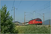 Zwischen Pieterlen und Lengnau, auf der anderen, sonnigen Seite des Bahndamms, an der Leugenen zeigt sich die Re 460 058-1 mit ihrem IR 2117 Biel/Bienne - Konstanz. 
23. Juli 2013