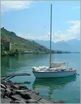 Erst auf den zweiten Blick ist ganz winzig der Zug auf diesem Bild zu sehen: RABe 511 als RE 2720 von Vevey nach Gen�ve zwischen Rivaz und St-Saphorin.
25. Juli 2013