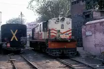 6630  Dehli  24.10.93