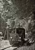 . Licht und Schatten -  Die 6 Kilometer lange Strecke P�tange-Fond de Gras verf�gt �ber keine Kunstbauten, sie schmiegt sich so gut wie m�glich an die h�gelige Landschaft an. Mit 23 �/�� hat sie die st�rkste Steigung und mit 140 Meter den engsten Kurvenradius des luxemburgischen Normalspurnetzes.

Die Strecke der Museumsbahn  Train 1900  verl�uft die meiste Zeit durch dichten Mischwald, welcher ab und zu durch eine Lichtung unterbrochen wird. Der �bergang zwischen dem Wald und einer Lichtung erm�glichte mir die Dampflok N�8 (ADI 8) kurz vor dem Erreichen der Kreuzungsstelle “Fuussb�sch” in Szene zu setzen. 02.06.2013 (Jeanny)
