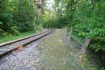 Die Haltestelle Johannesthal an der Lokalbahn Retz-Drosendorf, seit 2010 durch die N�VOG betrieben, ist seit 1994 stillgelegt, Ende Mai 2011