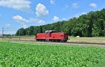 Bm 6/6 18511 auf �berf�hrungsfahrt zwischen Hindelbank und Lyssach, 10.08.2013.
