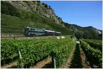 An der Weinbergen in der Wachau vorbei, f�hrt 2050.05 mit dem Wachauer Themenzug von Krems an der Donau nach Emmersdorf.
Wei�enkirchen 15.8.2013 