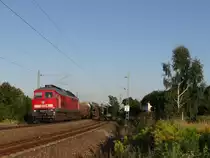 Am 16.08.13 Bespannte 233 511 den 87er hier zusehen in Syrau/V.