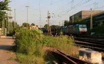 Zwei Cobra 2819 und 2821 kommen mit einem langen Kalkzug aus Yves-Gomez�e(B) nach Millingen und fahren in Aachen-West ein und auf dem Nebengleis steht eine Stopfmaschine und ein Schotterprofiliermaschine steht auf dem abstellgleis in Aachen-West und die Cobra 2807 rangiert in der Abendsonne am Abend vom 8.7.2013.