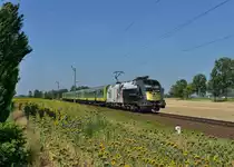 470 501 mit D 9207 nach Budapest Keleti am 28.07.2013 bei Veszk�ny.