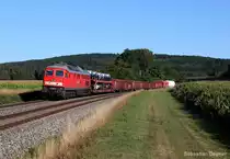 EZ 51683 Zwickau-N�rnberg am 14.8.13 bei Oberteich
