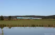 ALEX nach M�nchen am 14.8.13 bei Wiesau 