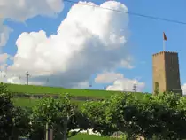  �ber den Reben schweben  hei�t das Motto der Seilbahn in R�desheim am Rhein; 07.07.2012
