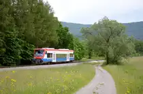 Seit Anfang 2013 weilen zwei Regioshuttle der PEG bei der HzL. Hier ist VT 650.01 am 12. Juni 2013 bei Schlatt unterwegs nach Hechingen.