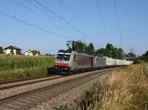 Die 186 281 und die 186 286 mit einem KLV-Zug am 24.08.2013 unterwegs bei R�ckstetten.