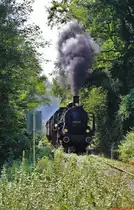 638.1301 der �GEG auf der Steigungsstrecke zwischen Amerang und Taiding am 17.08.2013. Leider ist diese Aufnahme am Nachmittag nur bei fast totalem Gegenicht m�glich.
