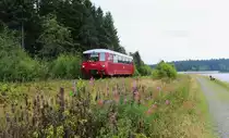 Am 25.08.13 fuhr das Ferkel (171 056-5) wieder von Adorf nach Muldenberg und zur�ck. Hier zusehen an der Talsperre Muldenberg.