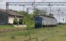 �bel zugerichtet sieht der aus Novi Sad einfahrende Elektrotriebwagen aus.
Grafitti und der verkrautete Bahnhof Zednik hinterlassen am 7.5.2010 einen
schlechten Eindruck von der serbischen Eisenbahn. Zum Gl�ck traf ich es 
aber auch viel besser an als hier.