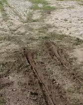 25.8.2013 Weiche f�r Doppelflanschr�der der Hobrechtsfelder Wirtschaftsbahn auf dem ehemaligen Berliner Stadtgut. Am 31.8.13 ab 14.00 Uhr werden beim 4. Naturparkfest erstmals wieder Feldbahn-Fahrzeuge auf den alten Schienen zu sehen sein. 