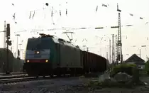 Die Cobra 2826 f�hrt mit einem Kurzen Schrottzug aus �sterreich nach Belgien bei der Ausfahrt von Aachen-West und f�hrt in Richtung Montzen/Belgien in der Abendstimmung am einem sch�nem Sommerabend vom 16.7.2013.