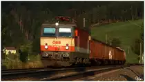 Im Abendlicht, f�hrt  Schachbrett  1144 117 mit DG 55507 (Zur - Ve) durch St.Lorenzen.
29.8.2013