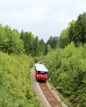 Am 25.08.13 fuhr das Ferkel (171 056-5) wieder von Adorf nach Muldenberg und zur�ck. Hier zusehen hinter Gunzen.