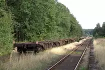 ein abgestellter Ganzzug , gebildet aus Container-Wagen, im Bahnhof Alt Schwerin.
29.08.2013 16:09 Uhr.