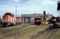 M43 1100  Celld�m�lk  04.05.11