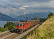 Re 4/4 11171 mit einem kurzen G�terzug am 30.08.2013 bei Einigen.