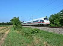 403 021-9 als ICE 106/506 nach K�ln Hbf/Amsterdam Central am Nachmittag des 04.08.13 s�dlich von Buggingen.