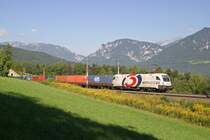 1116.264  �3  mit G-43401 am Eichberg. 7.9.13