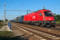 1216 231 erreicht mit einem PKP Cargo Ganzzug den G�terbahnhof in Breclav. Das Foto enstand am 06.09.2013.