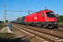 1216 231 erreicht mit einem PKP Cargo Ganzzug den G�terbahnhof in Breclav. Das Foto enstand am 06.09.2013.