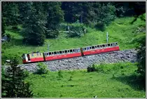 Lok 11 k�mpft sich den Berg hoch und der Lokf�hrer geniesst den Blick auf den Brienzersee. (06.07.2013)