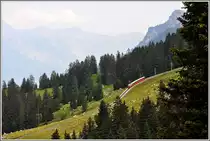 Auf der Ch�emad oberhalb von Breitlauenen. (06.07.2013)