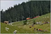 Talw�rts fahrender Zug oberhalb Breitlauenen auf der Ch�emad, was treffenderweise soviel heisst wie Kuhweide. (06.07.2013)