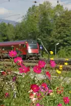 Stimmung in Eichberg. 8.9.13