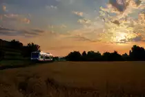 Sonnenaufgang.

Am Morgen des 23.Juli.2013 hatte es schon �ber 25�C, die Luft schwer und feucht, die M�cken hungrig von der Nacht... 
Eigentlich war wolkenloser Himmel vorhergesagt, doch als wir an unserer Fotostelle ankamen, sah das ganz anders aus. Jedoch wurden die Wolken sch�n von der aufgehenden Sonne angeleuchtet, weshalb wir uns f�r eine Gegenlichtaufnahme entschieden. 
Hier der SWEG Zug von Endingen nach Gottenheim, bei Eichstetten. 
Achja, der Preis f�r das Foto war ein halbes Duzend M�ckenstiche, da das Autan zuhause vergessen wurde. 
