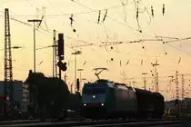 Die Cobra 2805 f�hrt mit einem langen gemischten G�terzug aus Osnabr�ck nach Kortenberg-Goederen(B) bei der Ausfahrt aus Aachen-West und f�hrt in Richtung Montzen/Belgien am einem sch�nem Sommerabend und in der Abendstimmung am 23.8.2013.