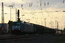 Die Cobra 2806 f�hrt mit einem langen Papierzug aus K�ln-Gremberg nach Zeebrugge(B) am Ende f�hrt 151 052-8 DB als Schubhilfe bis zum Gemmenicher-Tunnel bei der Ausfahrt von Aachen-West und f�hrt in Richtung Belgien am einem sch�nem Sommerabend in der Abendstimmung am 23.8.2013.