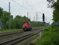 261 102 am 20.8.13 Solo in Ratingen-Lintorf. 