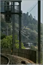 100 Jahre BLS: die Ae 6/8 205 kommt...
Bei Hohtenn, den 7.9.2013