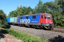 Lokportrait von der Schweizer Lady Re 421 389-8 (SBB Cargo), sie kam mit einem Containerzug am heimischen Garten in Zwickau vorbei. 07.09.2013