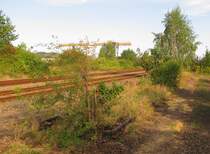 Ein kleiner Rest vom fr�heren Gleis 9, am 07.09.2013 am Stellwerk Lo in Laucha (Unstrut).