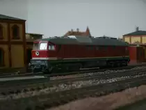 132 256 von Roco in H0 in meinem H0-Bw.