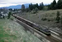 Strba am Fu� der Hohen Tatra ist ein sehr interessanter Bahnhof.
Im oberen Teil, innen im Bahnhof Geb�ude, welches links zu sehen ist,
befindet sich die Talstation der Zahnradbahn. Unten, quasi auf Ebene  Null  
liegt der Bahnhof. Dieser zieht sich in weitem Bogen durch zwei lang 
gestreckte Kurven. Es gibt keine reinen G�tergleise. Alle Gleise haben, wie
man sehen kann, im Hauptteil Bahnsteige. An den Zufahrten zum Bahnhof
und auch von der B�schung von oben herab kann man den Bahnhof wunderbar 
einsehen und hat viele M�glichkeiten, sich einen Fotopunkt zu suchen.
Diese Aufnahme entstand am Beginn der Ausfahrtkurve in Richtung Westen.
Doppellok 131063 und 131054 f�hrt hier gerade am 3.5.2003 aus Richtung Poprad kommend mit einem Leerzug in den Bahnhof ein.
