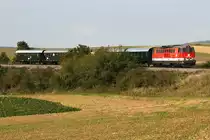 2143 009 f�hrt mit dem  NostalgieExpress Leiser Berge  an einem sonnigen Morgen nach Ernstbrunn. Die Aufnahme entstand kurz nach W�rnitz-Hetzmannsdorf, am 22.09.2013.