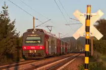 4020 236 (S Bahn Zug 23568) f�hrt seinem Ziel Wien Franz Josefs Bahnhof entgegen. Muckendorf-Wipfing, am Abend des 24.09.2013.