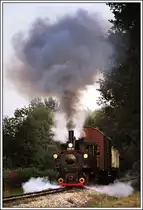 Stainzerbahn, wie sie fr�her einmal tagt�glich gefahren ist, am 25.9.2013 n�chst Stallhof kurz vor Stainz.