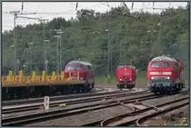 Einen kurzen Moment lang war es ein Dieselloktreffen der verschiedenen Gegens�tze,
als dieses Foto im Sp�tsommer 2012 bei Duisburg Wedau enstand.2 mal die V 160 ger 
Familie und mittendrin die 202 111 0. 