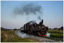 Dampflok 298.56 f�hrt auf der Stainzerbahn, mit einem aufgeschemelten G�terzug von Kraubath nach Stainz. 
Herbersdorf 25.09.2013