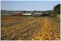 Dampflok 298.56 bei der Hinfahrt, mit dem aufgeschemelten G�terzug von Kraubath nach Stainz. 
Kraubath 25.09.2013