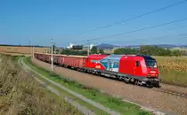 Es ist wieder R�benzeit. Aus diesem Anlass
Ist am 28.09.2013 die 2016 910 mit einem R�benzug in
Katzbach durchgefahren.